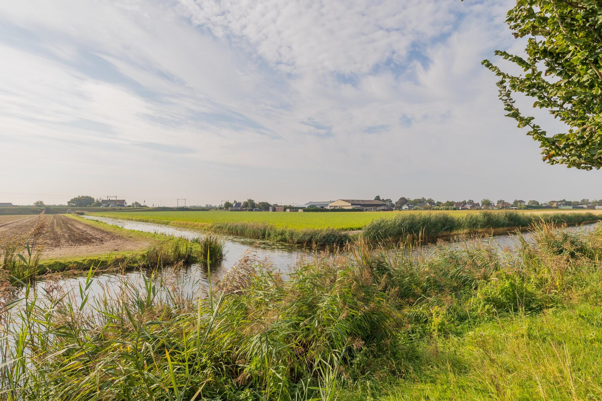 banner-Vogelenzang – Leidsevaart 262 – Foto 45.jpeg