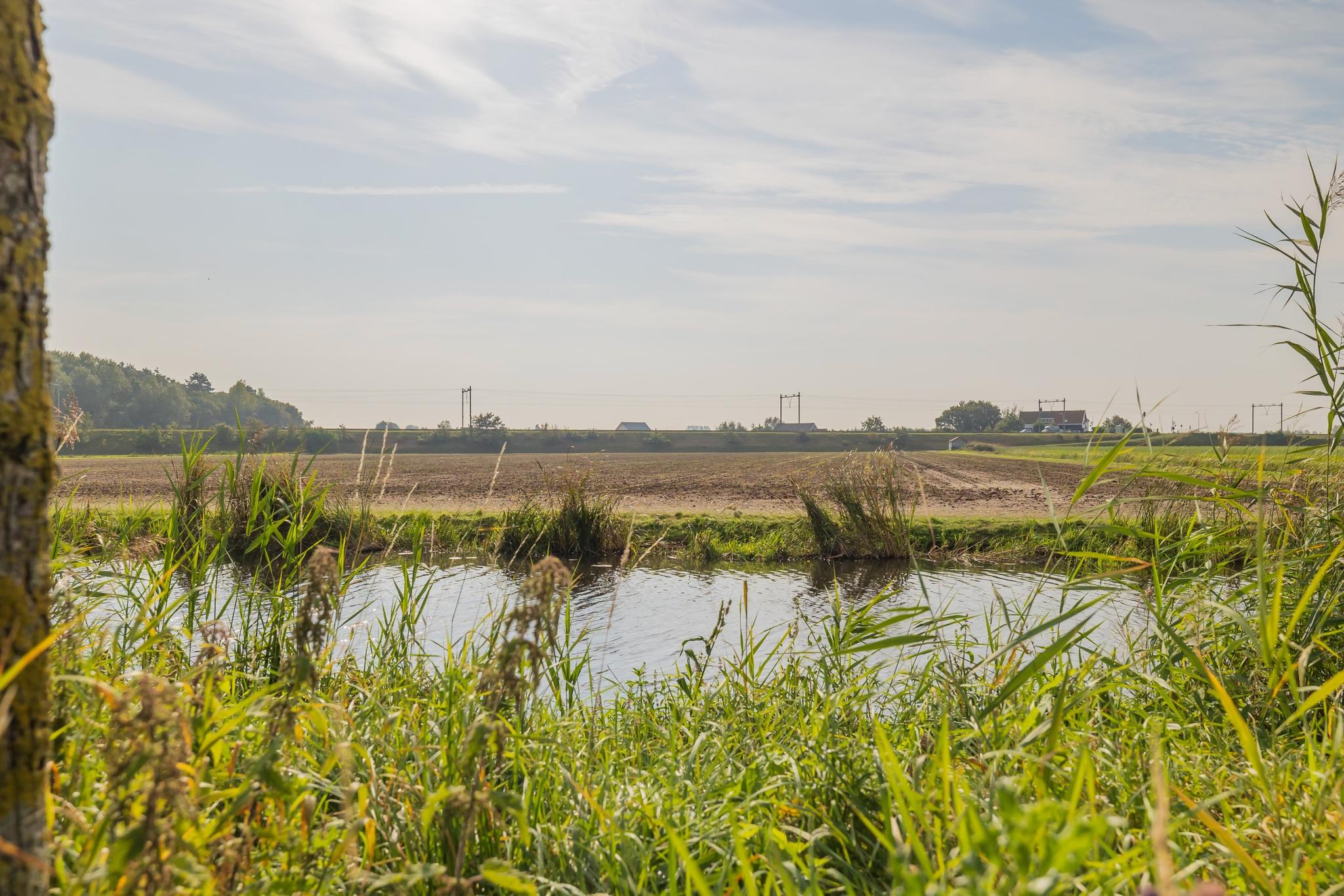 banner-Vogelenzang – Leidsevaart 262 – Foto 44.jpeg